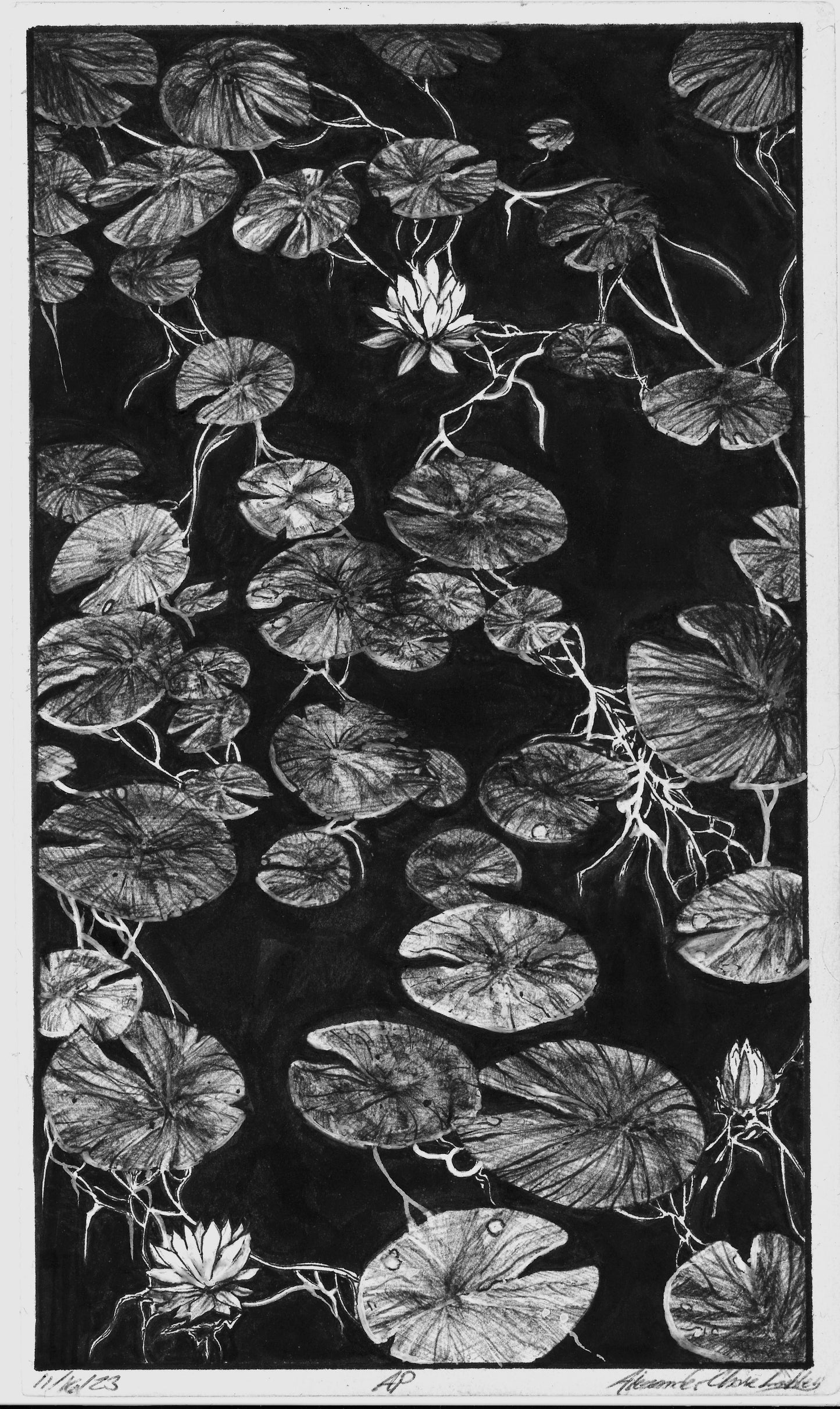 Lilies Print