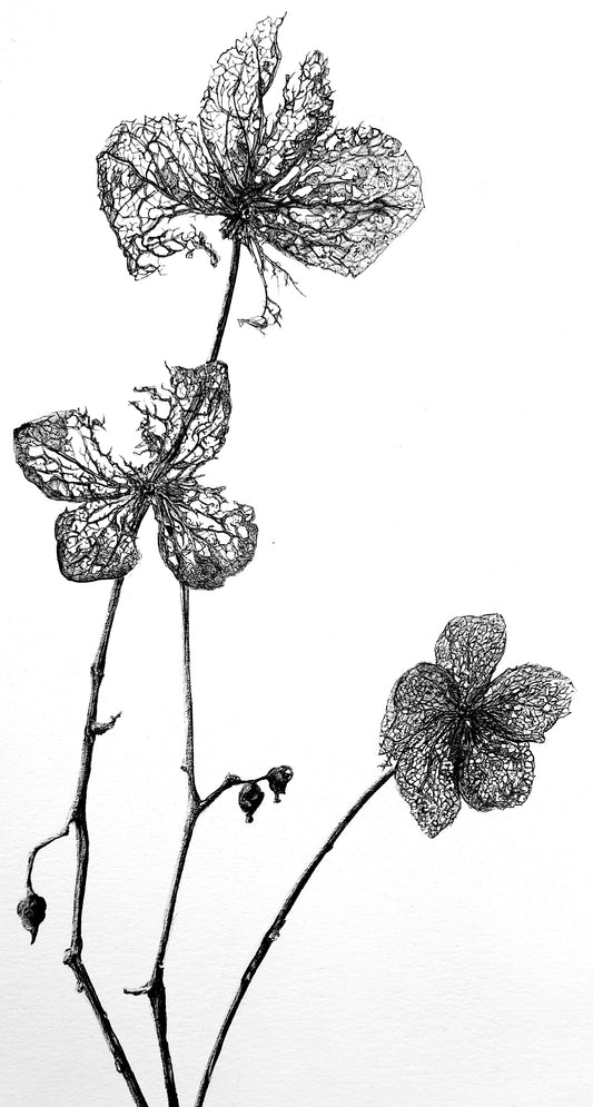 Decaying Flowers Print