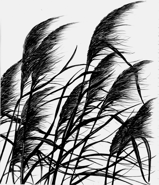 Grasses Print